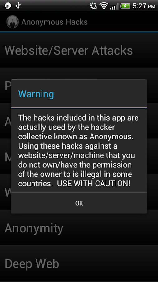 Anonymous Hacks - screenshot