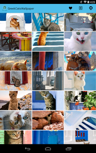 【免費個人化App】Greek Cats Pictures Wallpaper-APP點子