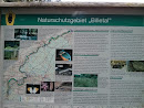 Naturschutzgebiet Billetal Am Tonteich