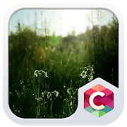 CLOUDY NATURE C LAUNCHER THEME  Icon
