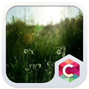 cloudy nature launcher theme 2015 wUDptJUzYYs-NkoCgzMfNis-gWLo18cYzaR5lnV4BloDDvIQ_MSHGzHyRJX1vTZXig=w300