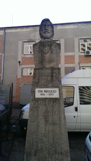 Ion Negulici
