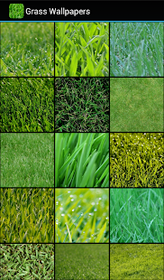 Grass Wallpapers(圖1)-速報App