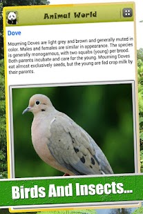 Free Animal World APK for Android