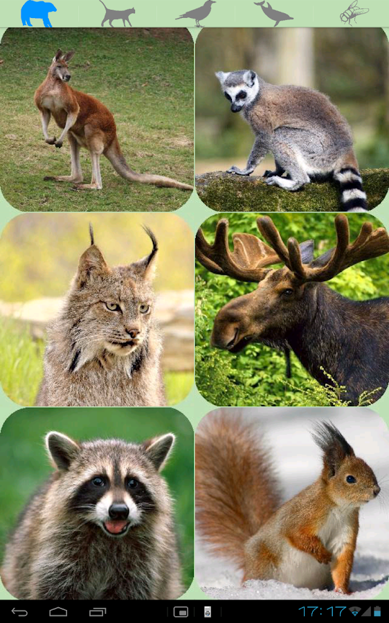 Animal sounds. Android Apps on Google Play