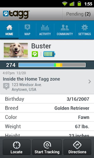 The iPhone-Powered Tagg Pet Tracker Is A Great Way To ...