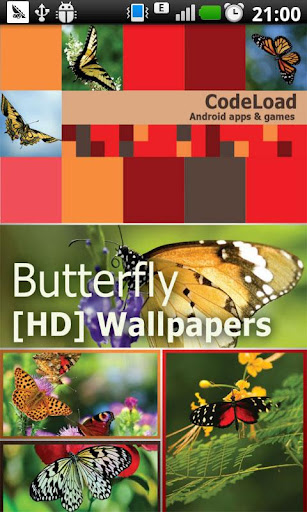 Butterfly [HD] Wallpapers