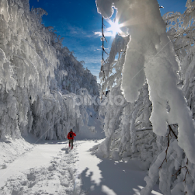 The big snowfall by Roberto Nencini - Landscapes Mountains & Hills