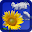 Free Cloud Live Wallpaper Download on Windows