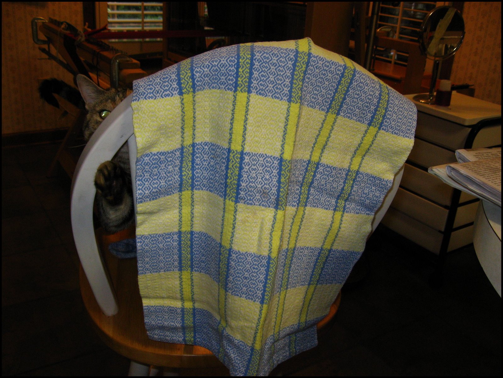 [towel 2005[2].jpg]