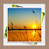 Gallery & Image Editor2.3