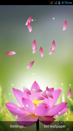 3D Flower Petal Wallpaper