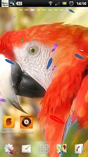 Lastest live parrot wallpaper APK for PC