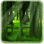 RealDepth Forest LWP