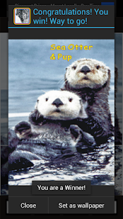 How to mod Wild Animals of North America 2.0 mod apk for pc