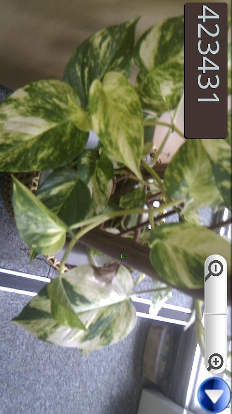 This Color What color? Screen 3