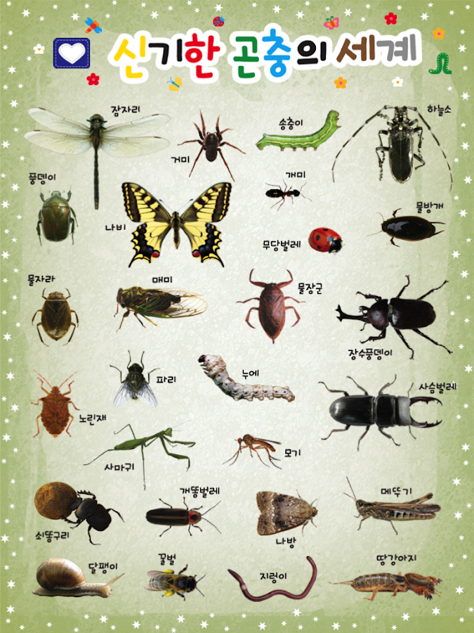 신기한 곤충의 세계 - Apl Android di Google Play