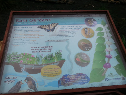 Rain Garden