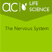 The Nervous System
