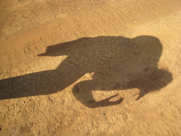 [IMG_8733.JPG]