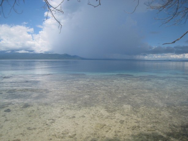 [IMG_0040.JPG]