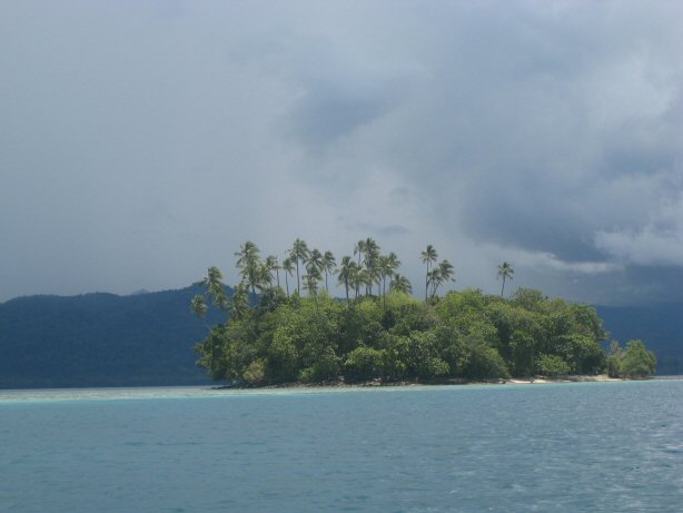 [IMG_0031.JPG]