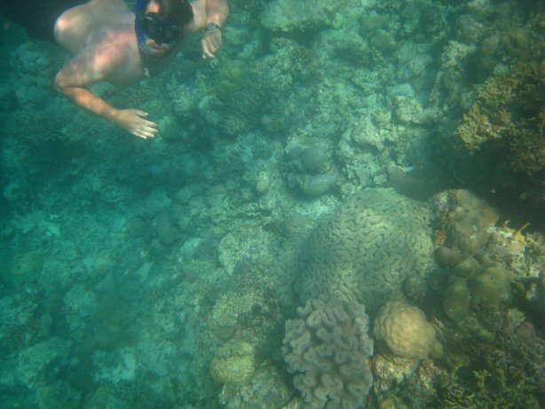 [IMG_0068.JPG]