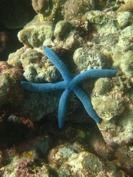 [IMG_0084.JPG]