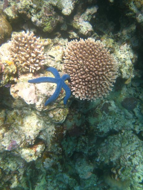 [IMG_0086.JPG]