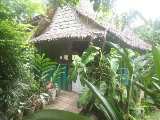 [IMG_0099.JPG]