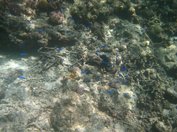 [IMG_9991.JPG]