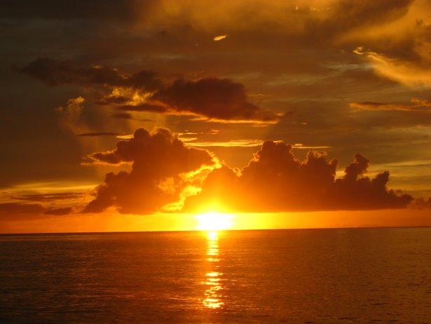 [IMG_0424.JPG]