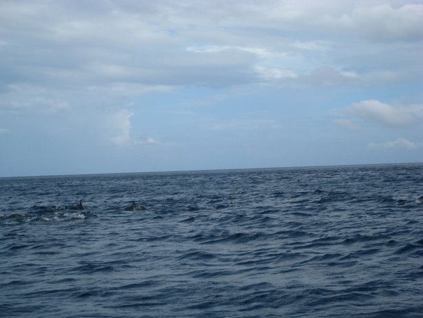 [IMG_0473.JPG]