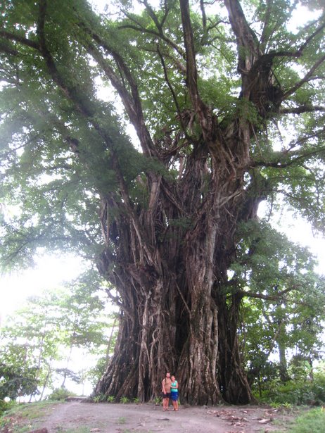 [IMG_0550.JPG]