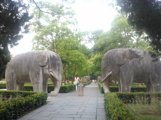 神道石刻-站着的大象
