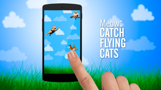 Meow: Catch Flying Cats