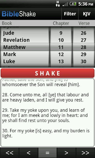 Bible Shake