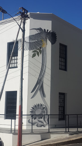Sunbird Mural