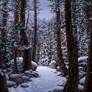 Live Wallpaper - Winter Forest