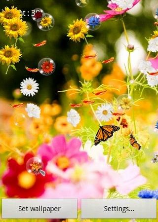 Flowers Pro Live Wallpaper Screen 3