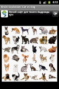 How to get Cat vs Dog (BrEx) free 1.0 unlimited apk for android