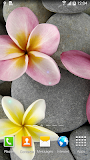 Stones in Water Live Wallpaper