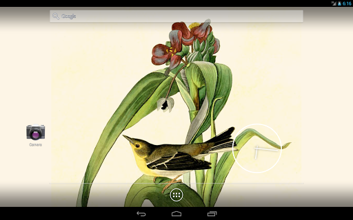 免費下載攝影APP|Audubon's Birds of America V02 app開箱文|APP開箱王