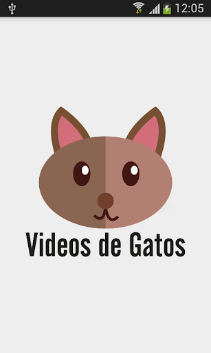 Videos de gatos
