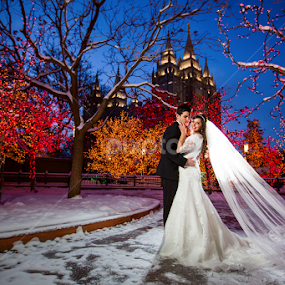 by David Terry - Wedding Bride & Groom