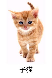 Lastest X Domesticated Animal Japanese APK