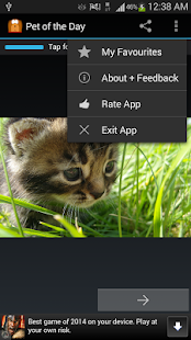 Pet of the Day: Dog & Cat Pics Screenshots 4