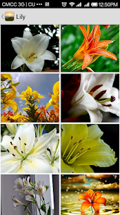 Wallpapers Screenshots 10