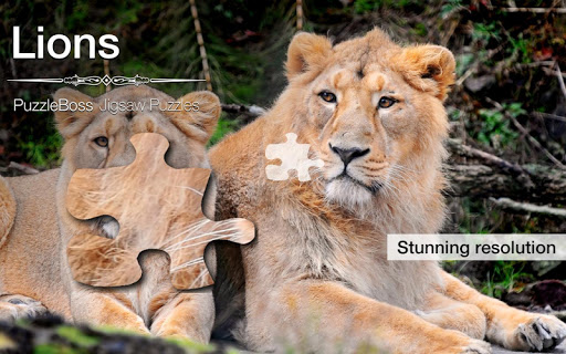Lion Jigsaw Puzzles