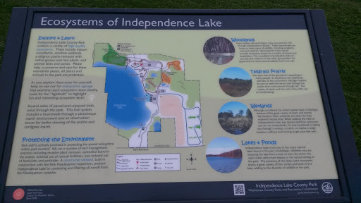 Ecosystems Of Independence Lake